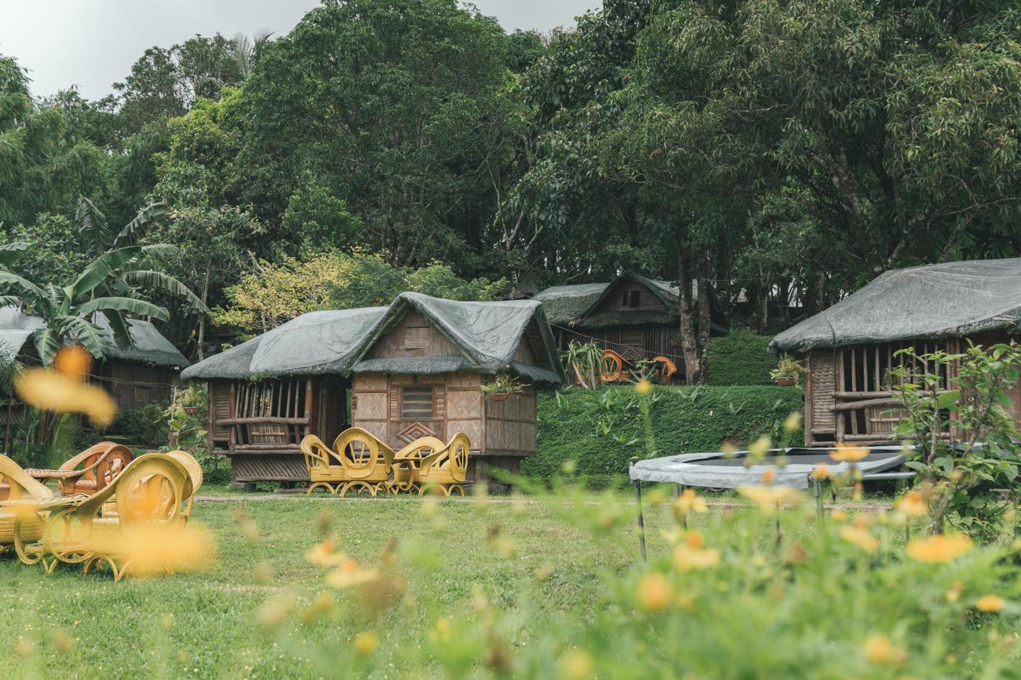 The Apiary Mountain Camp And Farm Farm stay Tanay