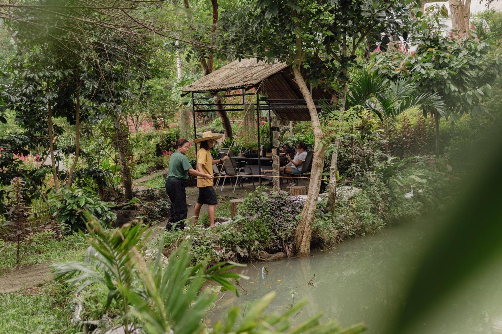 The Apiary Mountain Camp And Farm Farm stay Tanay