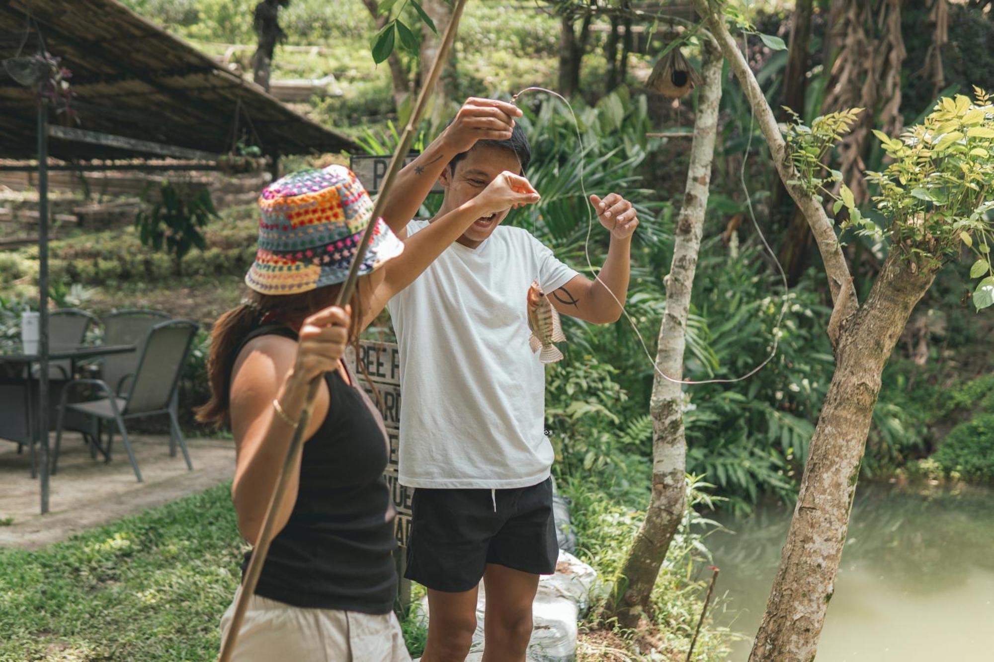 Farm stay The Apiary Mountain Camp And Farm Tanay