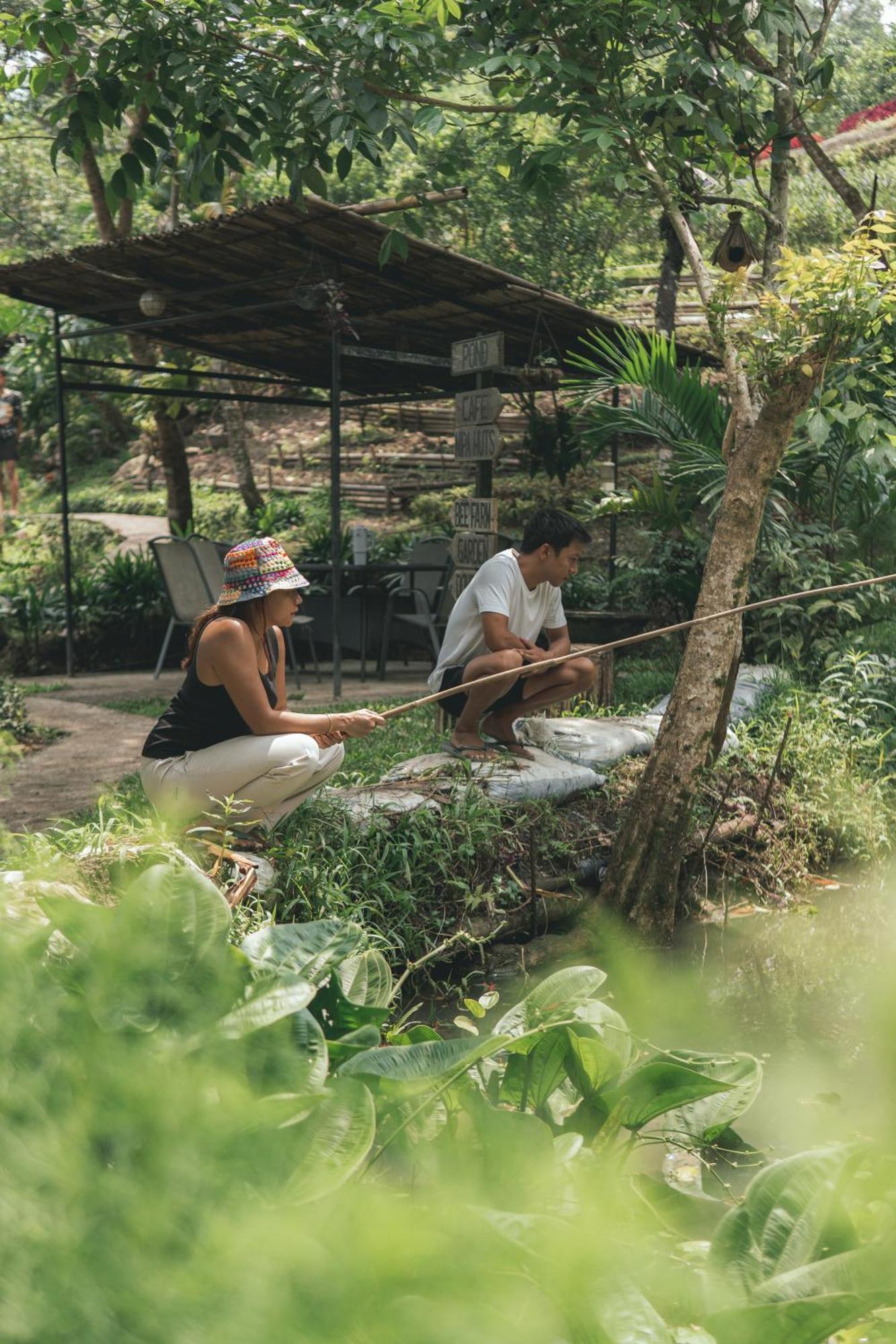 The Apiary Mountain Camp And Farm
