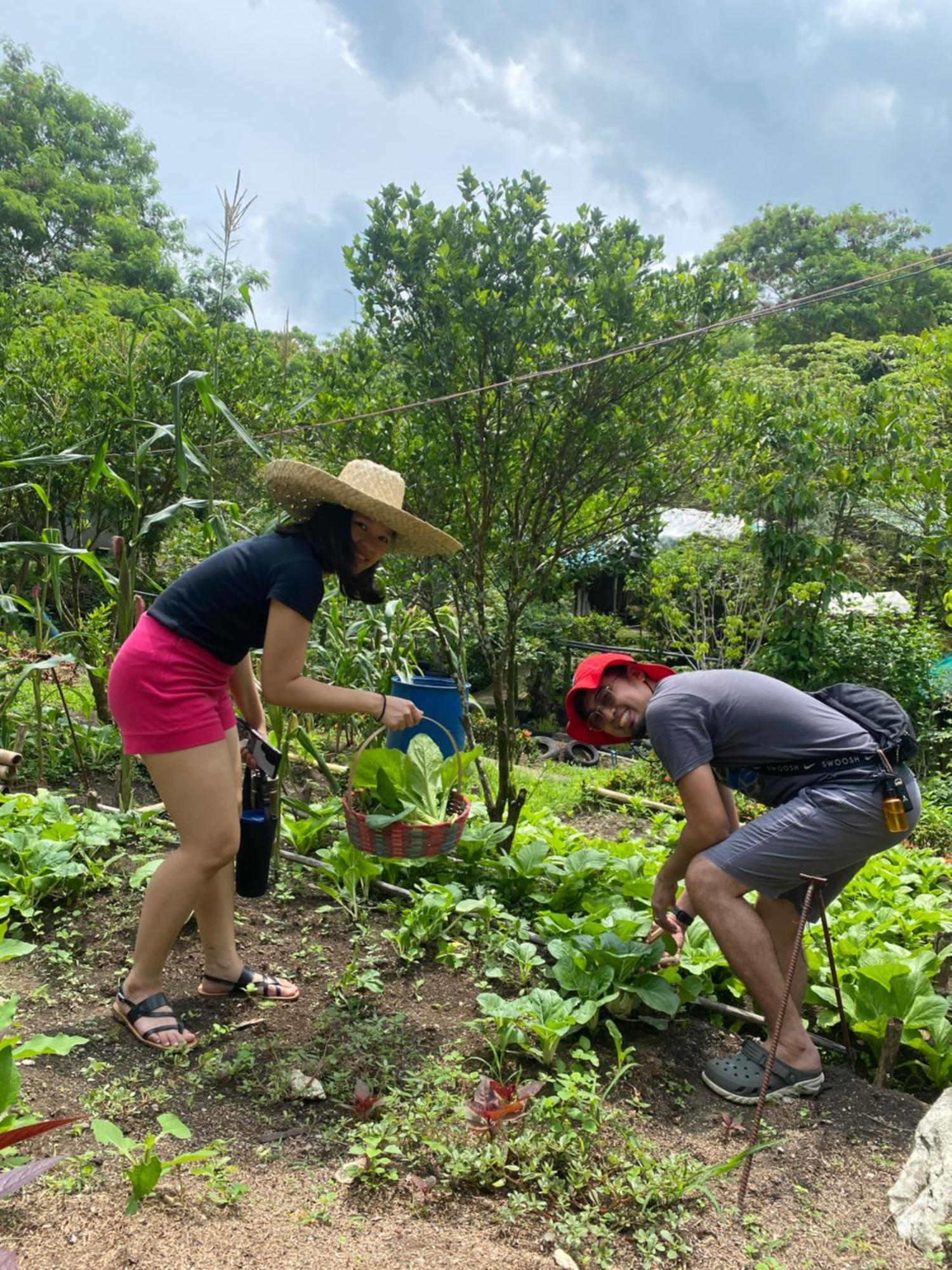 The Apiary Mountain Camp And Farm * Tanay