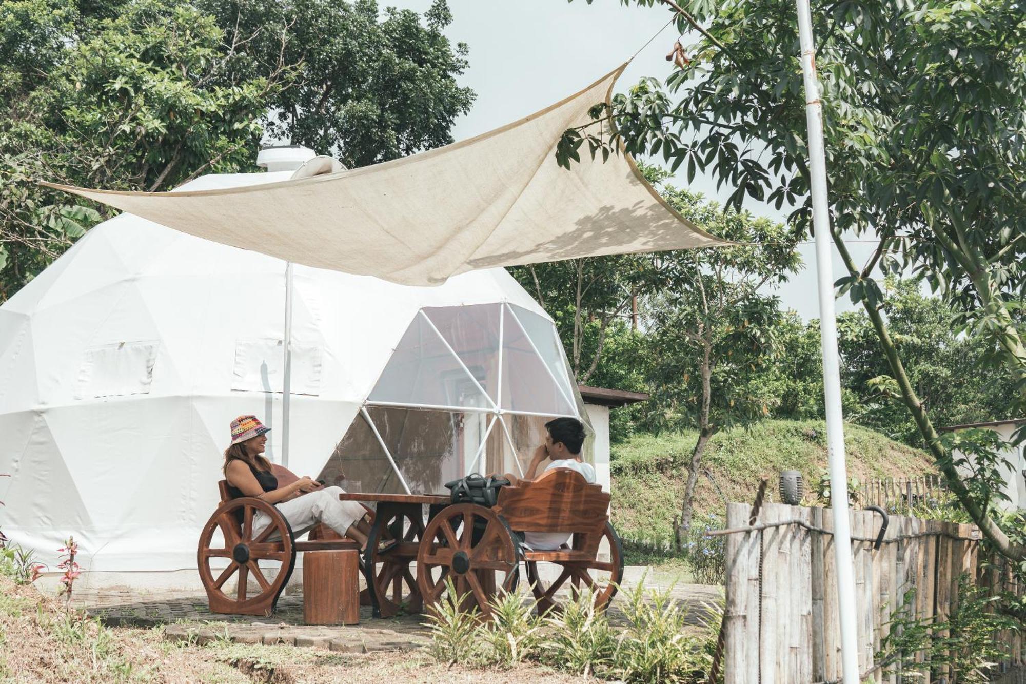 The Apiary Mountain Camp And Farm
