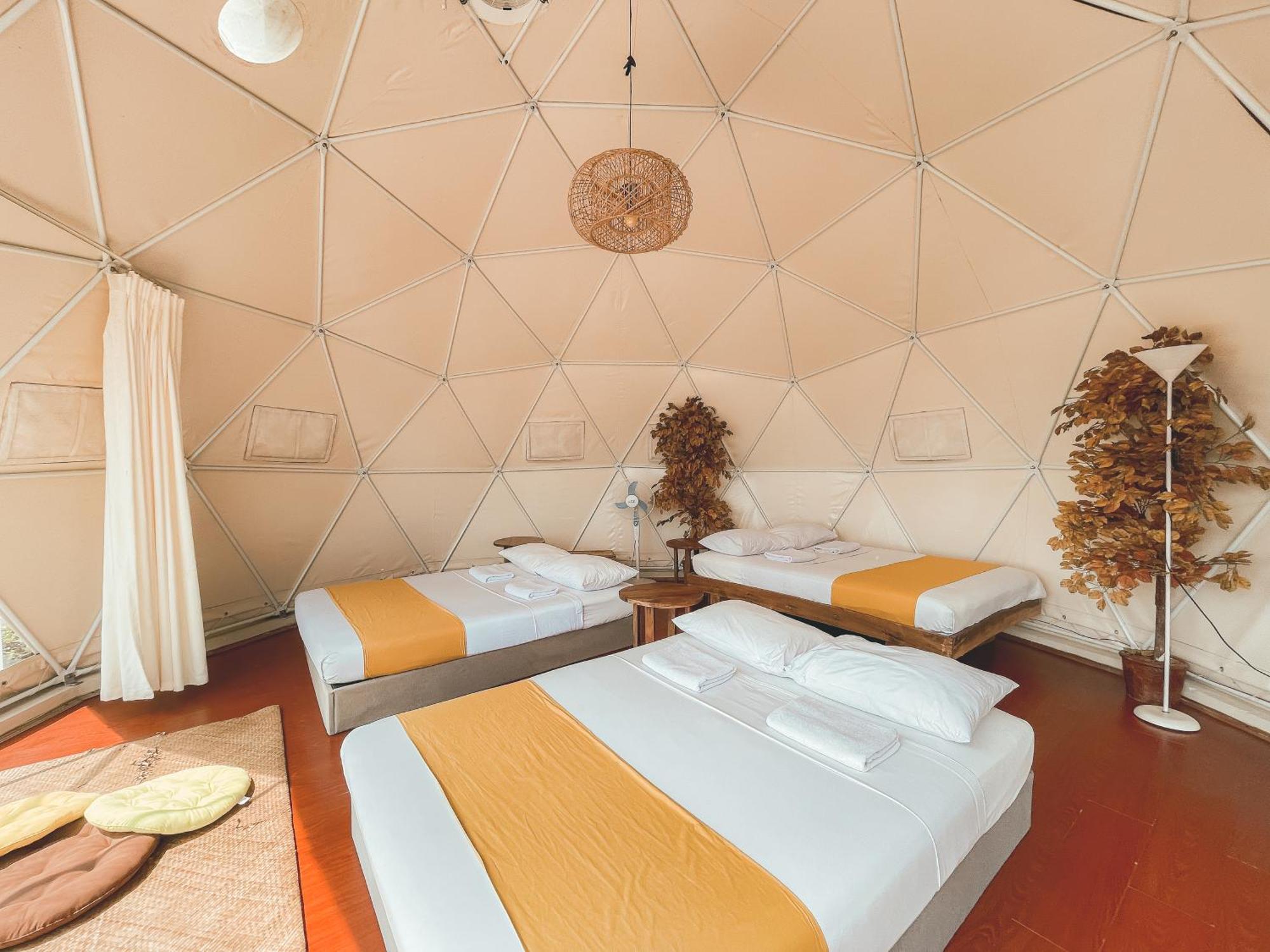 The Apiary Mountain Camp And Farm *