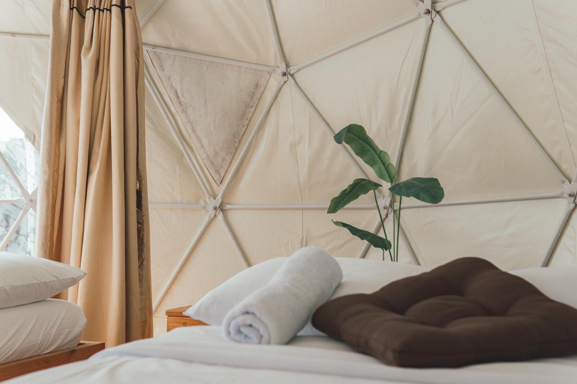 Farm stay The Apiary Mountain Camp And Farm