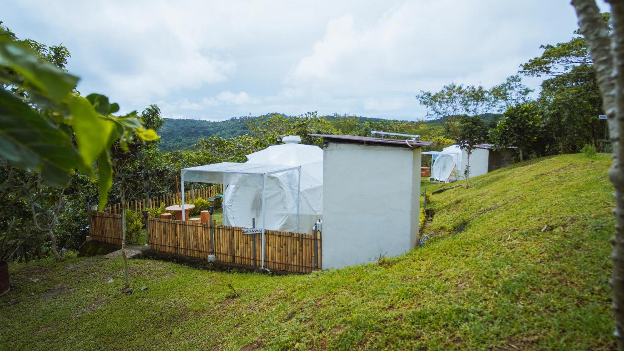 The Apiary Mountain Camp And Farm Farm stay