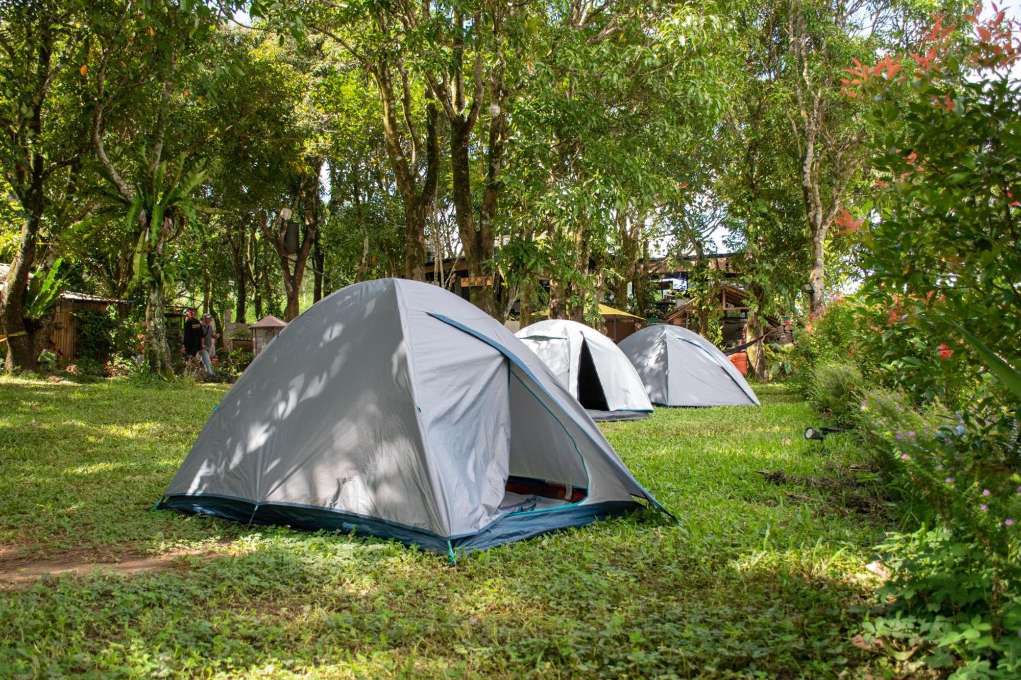 The Apiary Mountain Camp And Farm
