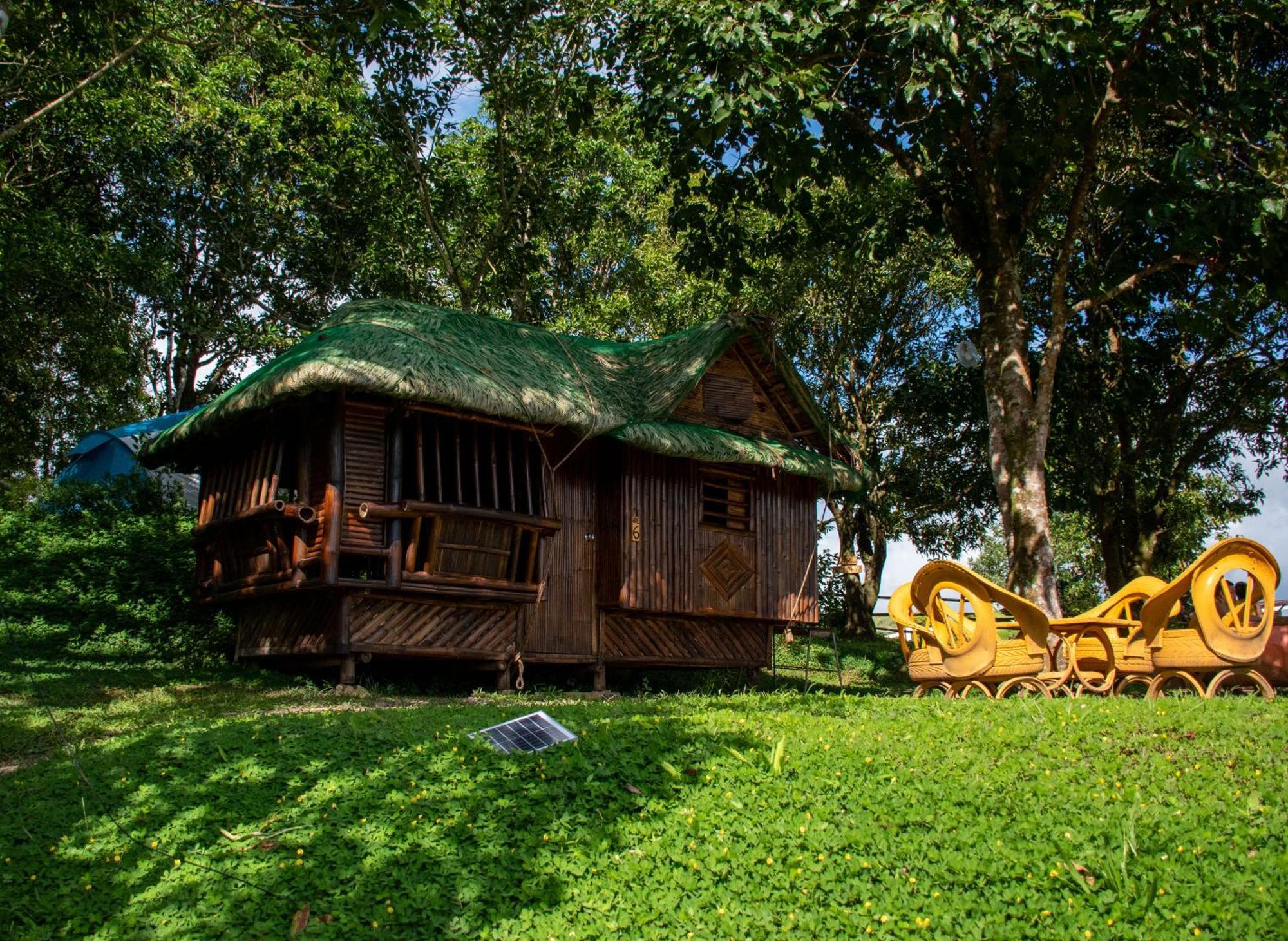 Farm stay The Apiary Mountain Camp And Farm