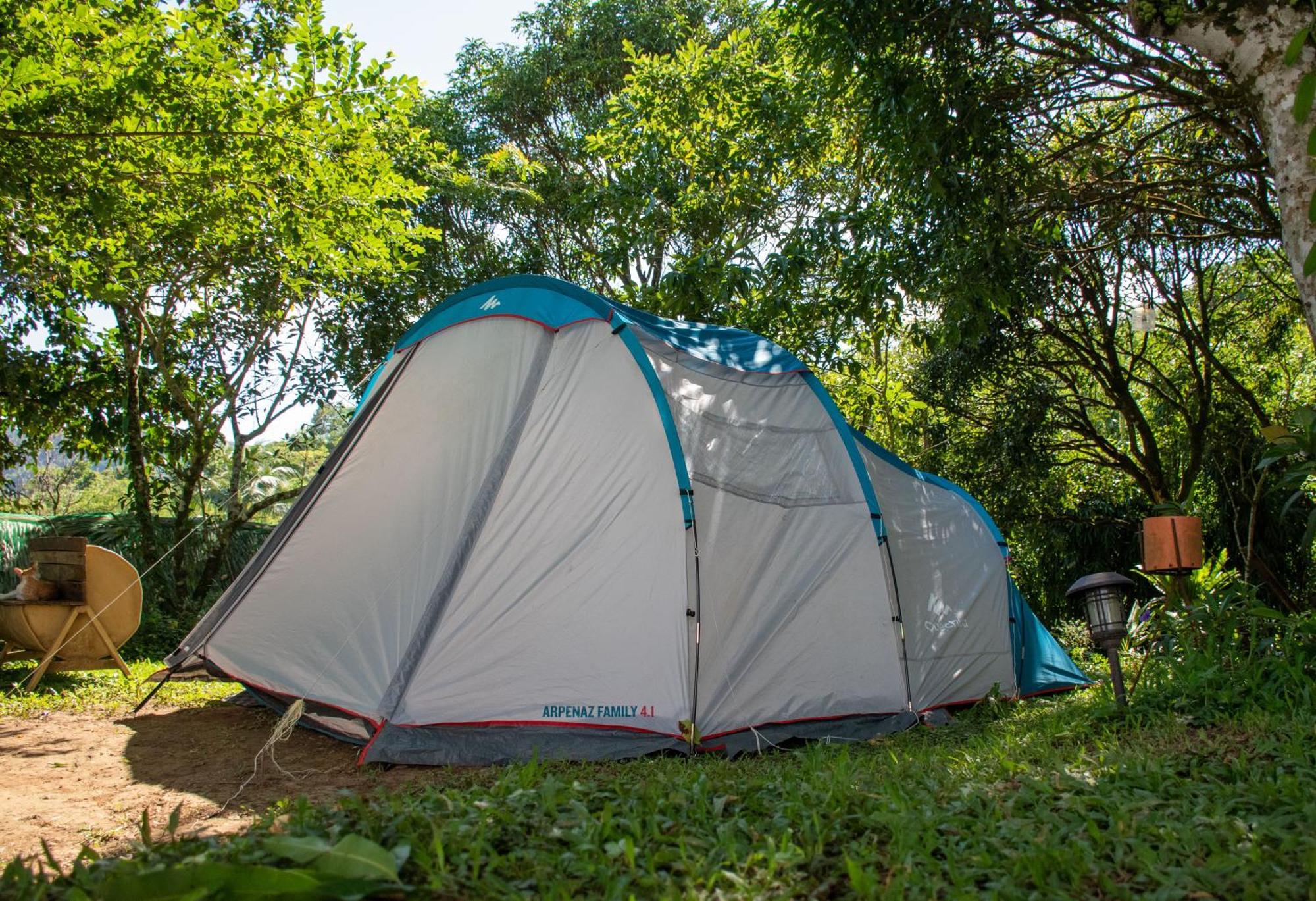 The Apiary Mountain Camp And Farm Farm stay
