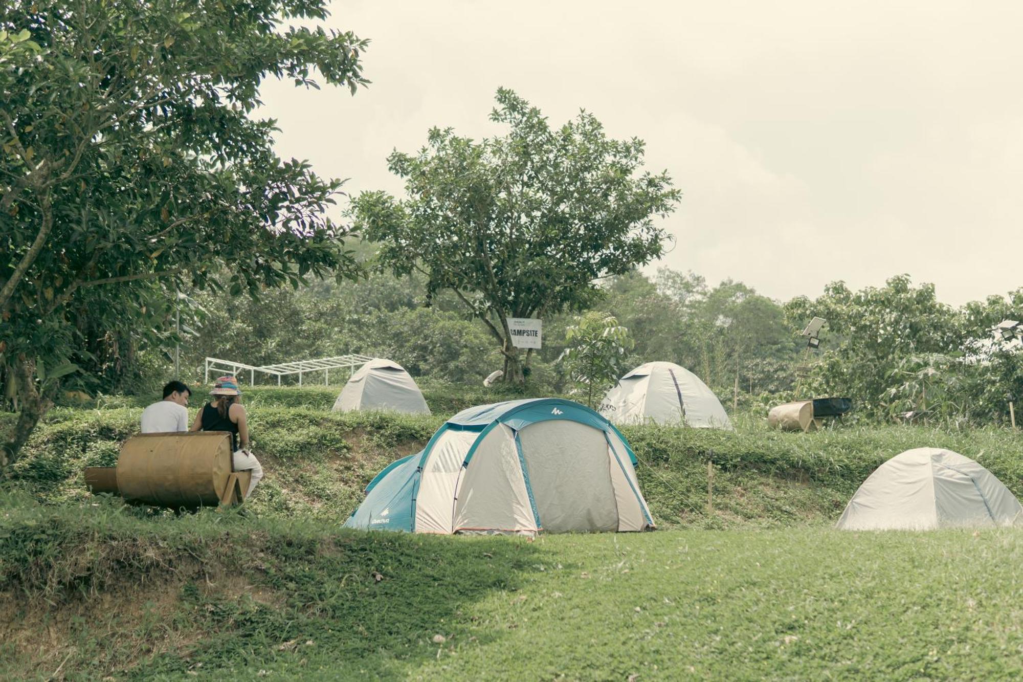 Farm stay The Apiary Mountain Camp And Farm