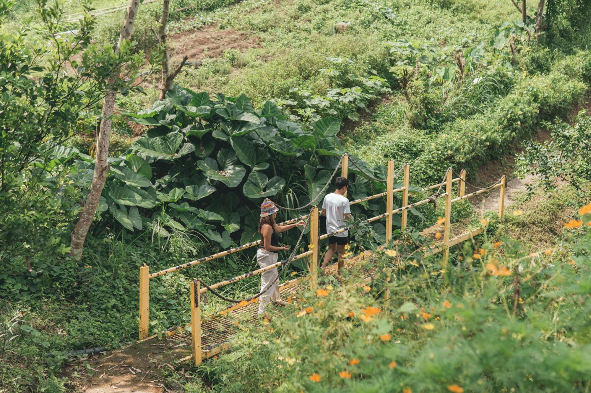 The Apiary Mountain Camp And Farm Farm stay