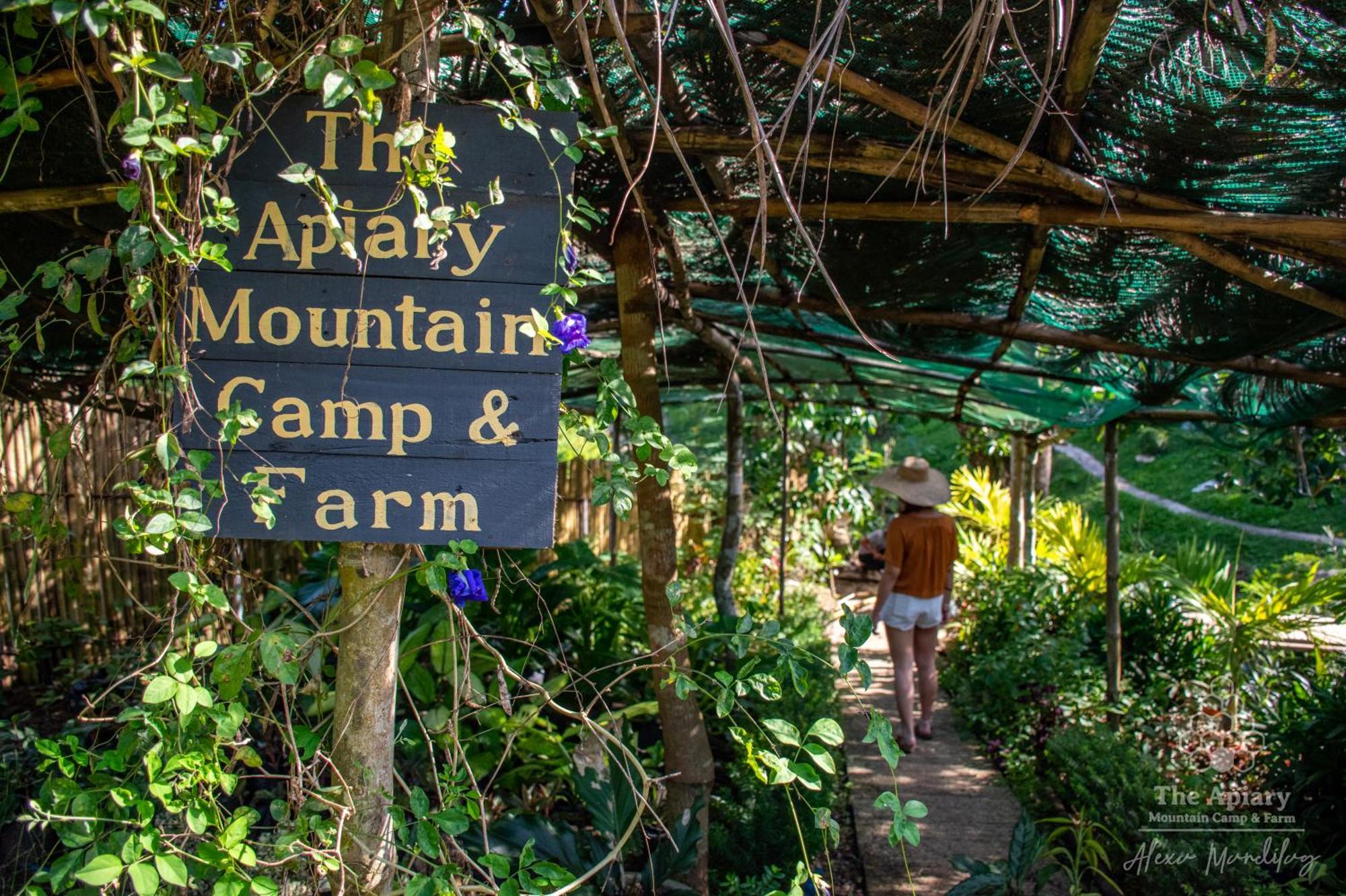 The Apiary Mountain Camp And Farm * Tanay