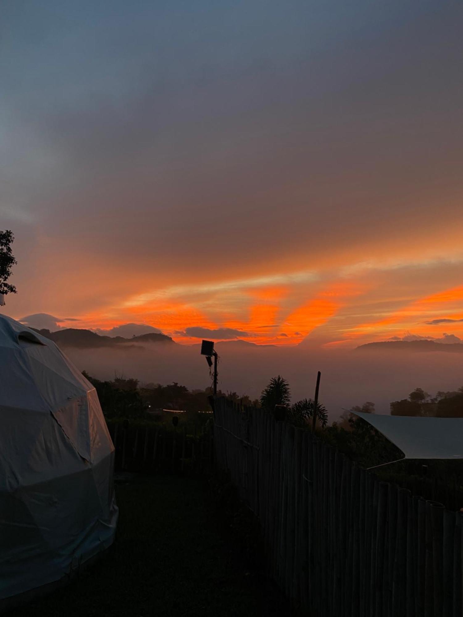 The Apiary Mountain Camp And Farm * Tanay