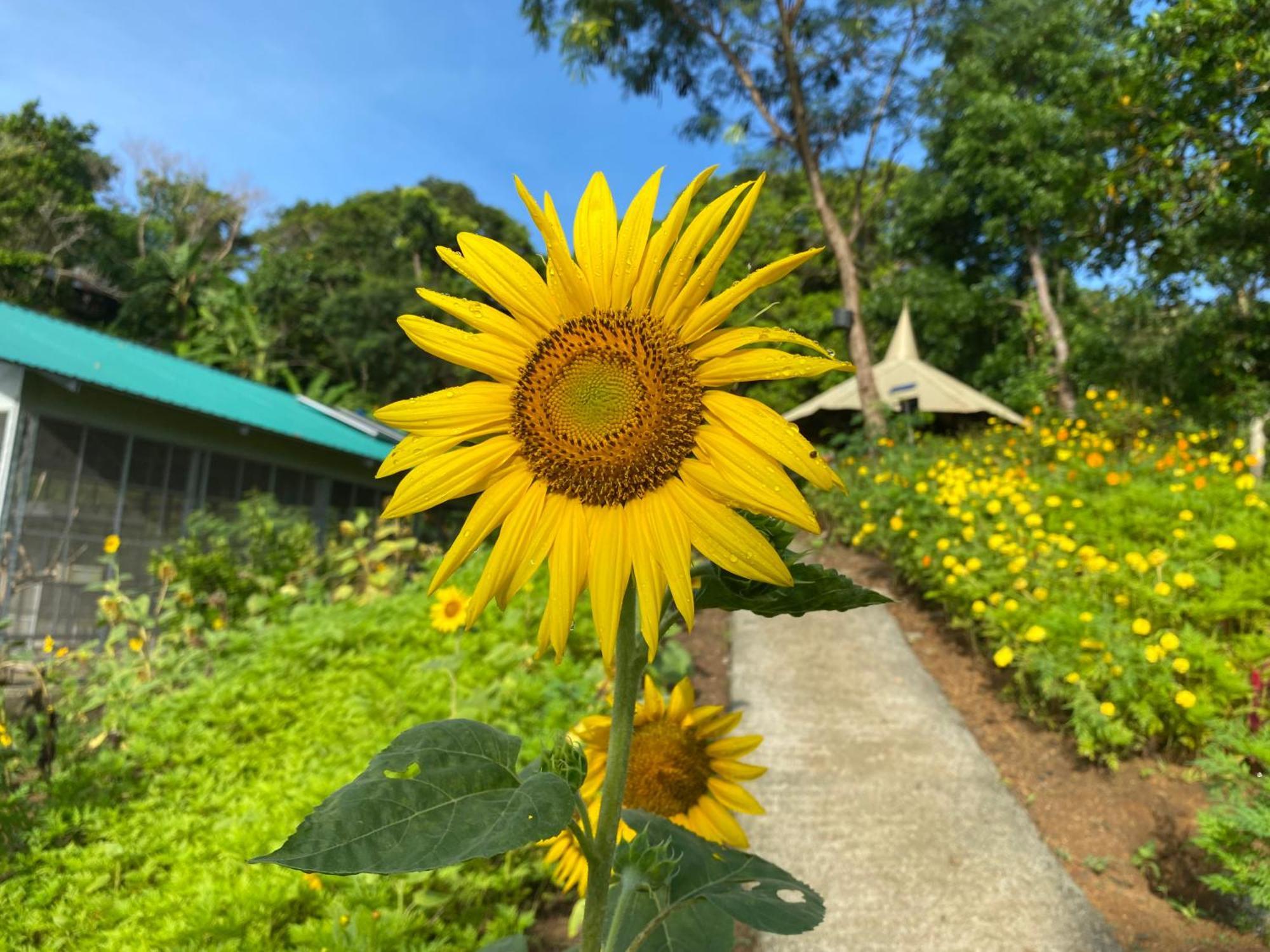The Apiary Mountain Camp And Farm Tanay